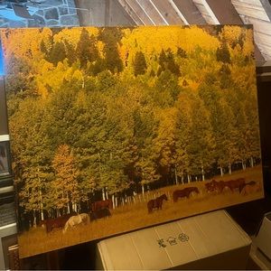 Large Canvas Photo